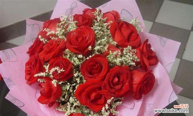 揭秘重逢的花语，感受重逢的深情意义 花语传情