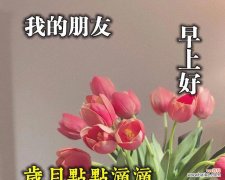 传递美好祝福的花语之境 花语祝福，用花言巧语传递祝愿