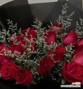 传递祝贺的花束与语言 以表示祝贺的花花语