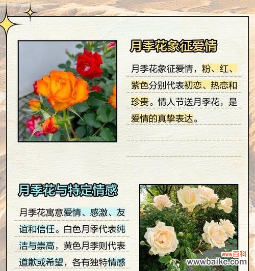 四季各自有哪些象征性的花朵？