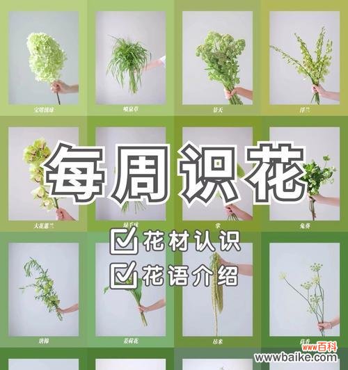 花穗的真正含义是什么？花穗在花语中象征着什么？