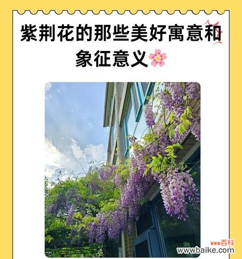 哪种花的花语最好？如何选择寓意美好的花？