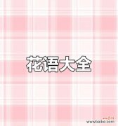 哪种花的花语最好？如何选择寓意美好的花？