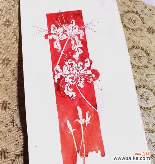 彼岸花的文化寓意是什么?彼岸花在不同文化中的象征意义?