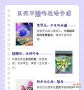 温婉象征的花有哪些？它们的花语是什么？