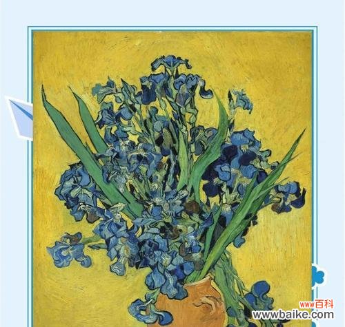 梵花的寓意是什么?梵花在文化中的象征意义是什么?