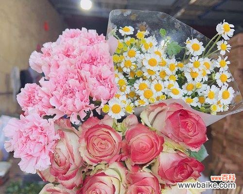 玫瑰花的象征意义及其背后的故事 十朵玫瑰花所代表的深刻含义