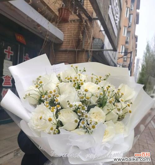 11朵白玫瑰的情感寓意和表达方式 传递真挚爱意的白玫瑰花语