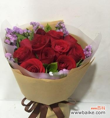 探索红玫瑰的意义及相关传统故事 11朵红玫瑰的花语与传说