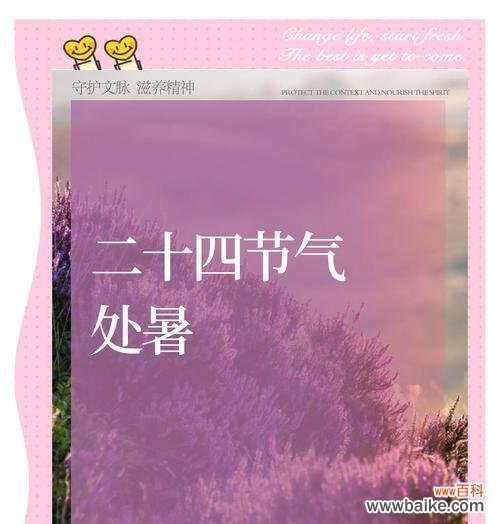 木槿花性格象征及其寓意是什么?