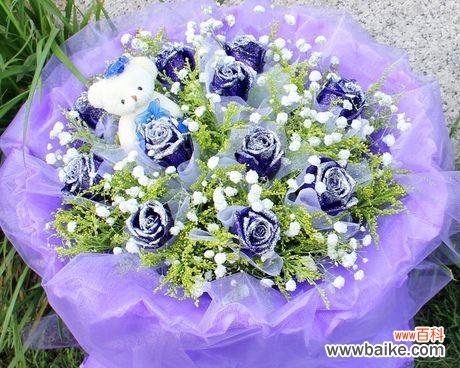 探寻蓝色妖姬的内涵与引申 11朵蓝色妖姬的意义与象征