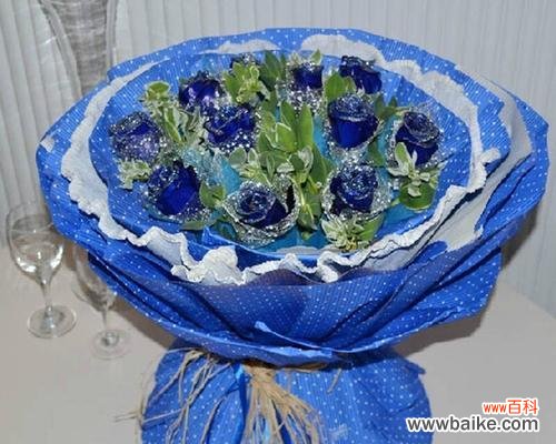 探寻蓝色妖姬的内涵与引申 11朵蓝色妖姬的意义与象征