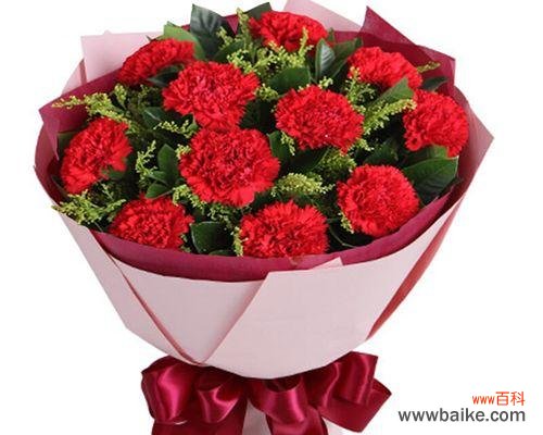 传递爱与感恩的美丽语言 11朵康乃馨的含义与象征