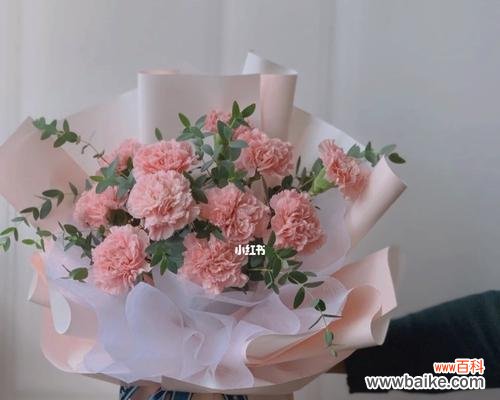 传递爱与感恩的美丽语言 11朵康乃馨的含义与象征