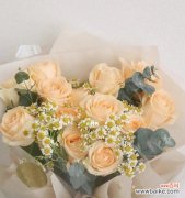 探寻香槟玫瑰的花语与美丽 香槟玫瑰花语