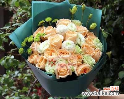 探寻香槟玫瑰背后的浪漫密码 花语解读