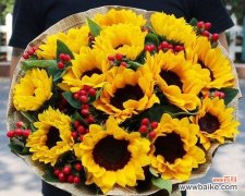 用12朵玫瑰花传递爱与祝福 玫瑰花的含义与象征——12朵玫瑰花的寓意