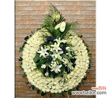 凝视于花海 追寻哀思的花语