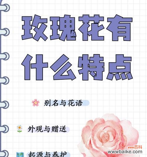 暗恋花代表什么?