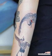 纹身中花鹤图案的含义是什么？