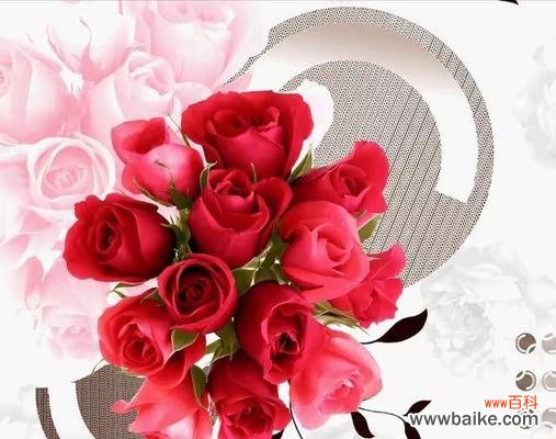 用花语传递爱意的艺术 12朵玫瑰花语