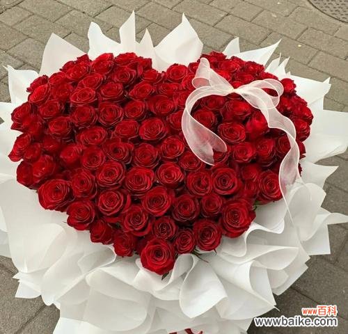 用花语传递爱意的艺术 12朵玫瑰花语