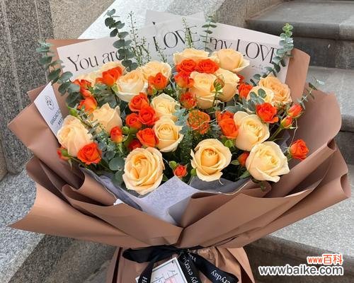 探索玫瑰花的16种不同含义与象征 玫瑰花的寓意与象征意义