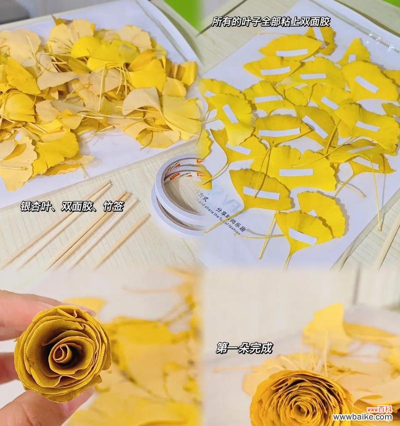 折花一片叶代表了什么？