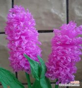 折花一片叶代表了什么？