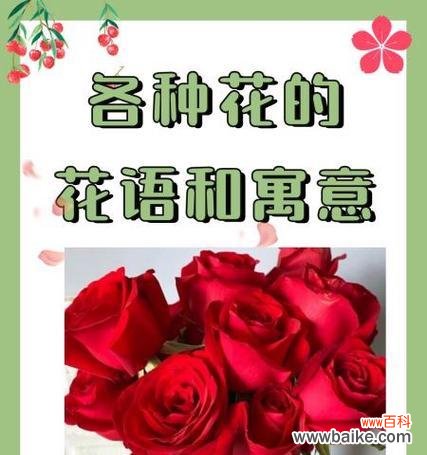 各种花的寓意和花语是什么?它们分别代表什么?