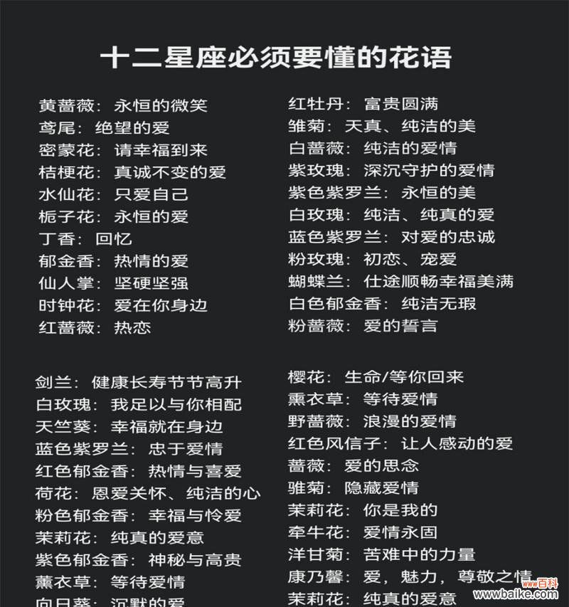 各种花的寓意和花语是什么?它们分别代表什么?