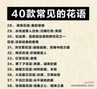 各种花的寓意和花语是什么？它们分别代表什么？