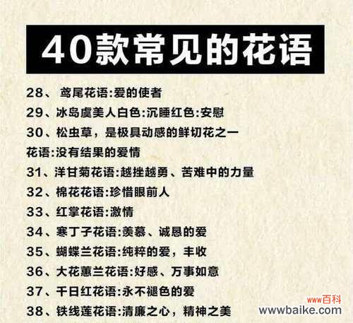 各种花的寓意和花语是什么?它们分别代表什么?