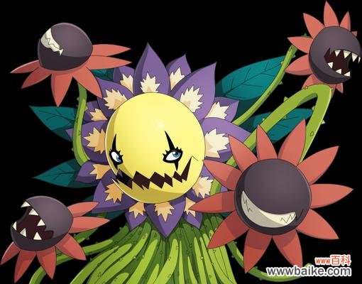 花兽知己代表什么?花语解读