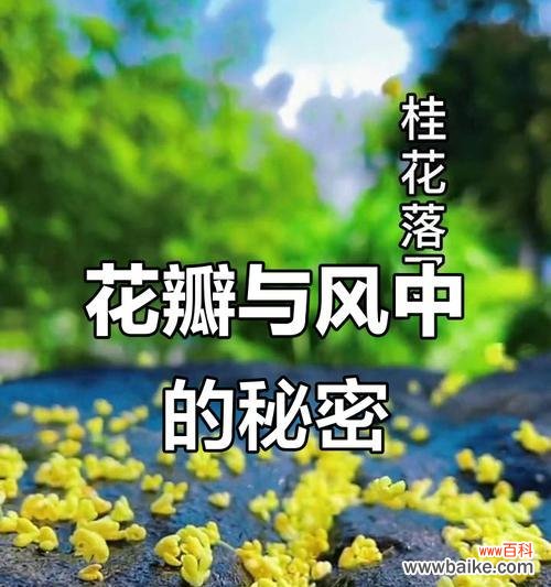 花朵飘散所代表的含义是什么?
