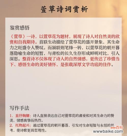 萱草花除了思念还有哪些含义？花语背后的故事是什么？