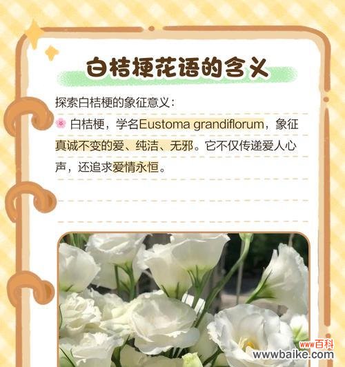 桔梗花的含义有哪些?