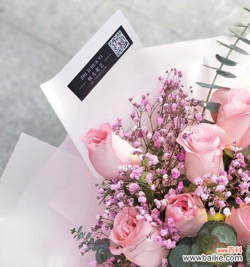 纯洁、浪漫与深情,19朵粉玫瑰的神秘力量 19朵粉玫瑰的含义与象征