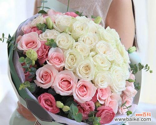 玫瑰花语之美丽的隐喻与心意 18朵玫瑰的象征意义与传说