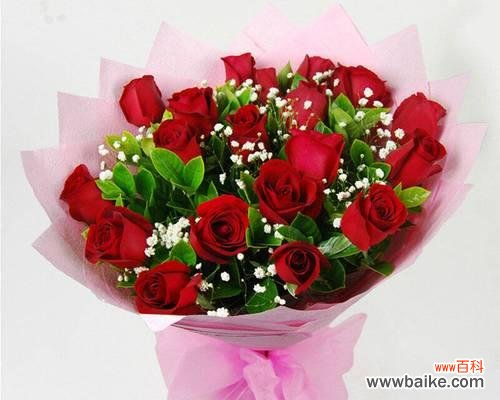 传递爱与祝福的花束——解读19朵粉玫瑰花的意义 19朵粉玫瑰花的寓意与象征