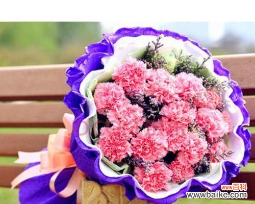 用19朵康乃馨传递爱意与祝福 康乃馨
