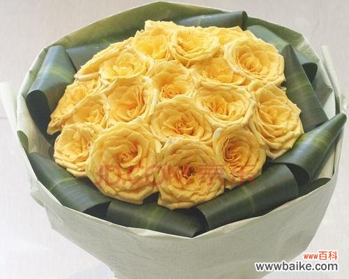传递真挚爱意的黄玫瑰语言 19朵黄玫瑰的代表意义