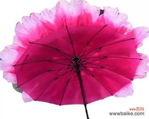 伞中放花的含义是什么？探索伞中花的文化意义。