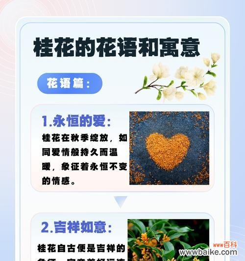 花好象征的寓意词语有哪些?它们各自代表什么?