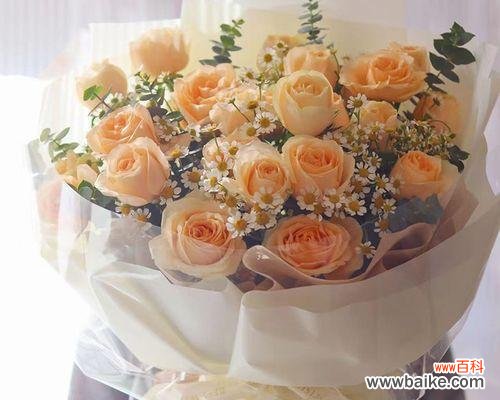 浪漫的花语和深刻的情感 19朵玫瑰的意义与象征