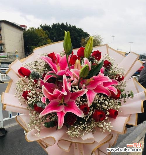 浪漫的花语和深刻的情感 19朵玫瑰的意义与象征