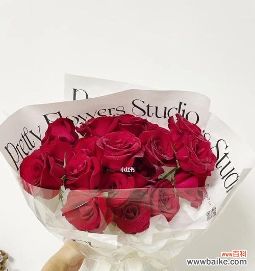 解密玫瑰花语，传递真挚情感 玫瑰花语