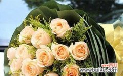 探寻每一朵玫瑰所代表的含义 19朵玫瑰花的象征意义