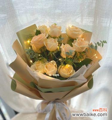 朴实无华中透露的真挚与美好 19朵香槟色玫瑰的深情花语