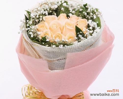 19朵香槟色玫瑰的情感秘密 浪漫香槟花开花语